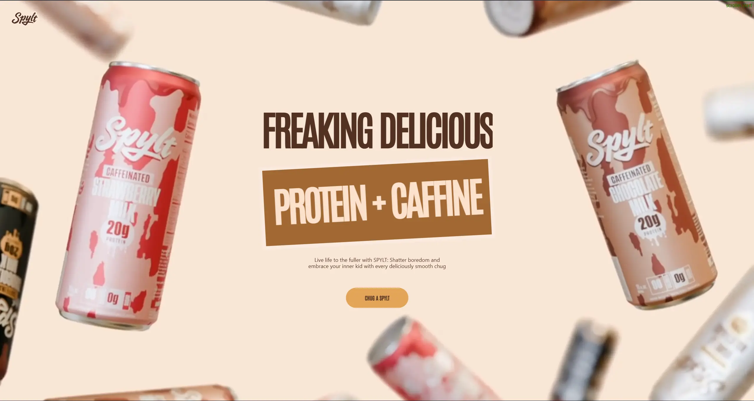 SPYLT Landing Page Clone-project-image